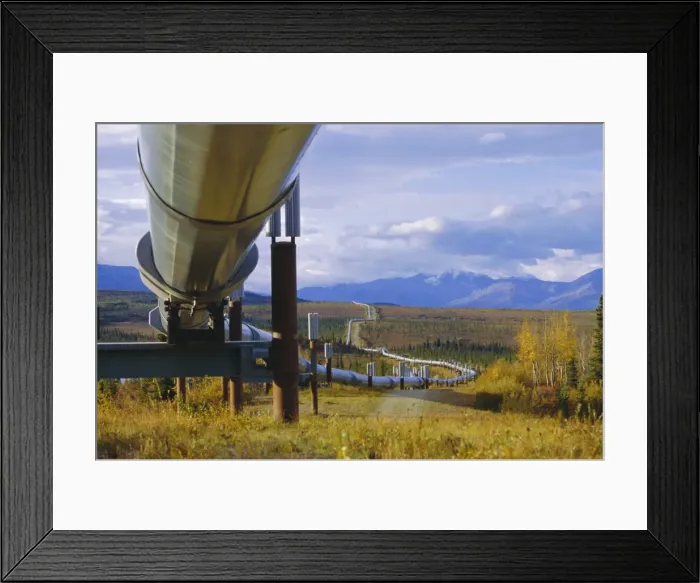 Framed Print : Trans Alaska oil pipeline across taiga through Alaskan Framed Print : Trans Alaska oil pipeline across taiga through Alaskan