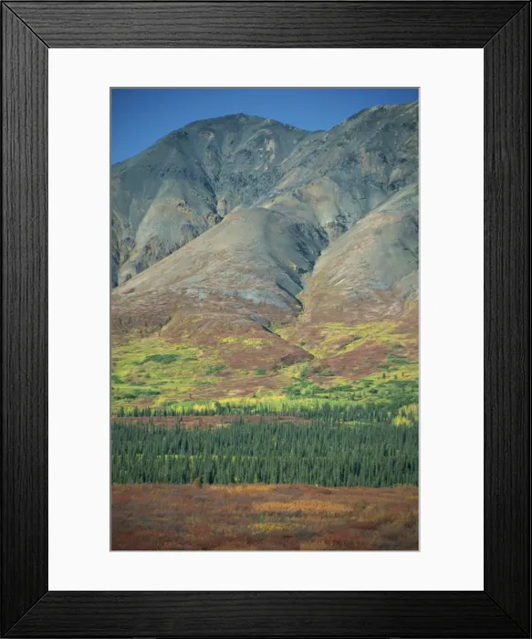 Framed Print : Tundra, Broad Pass Framed Print : Tundra, Broad Pass