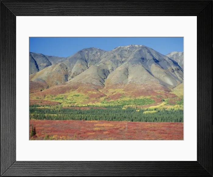 Framed Print : Autumn tundra landscape Framed Print : Autumn tundra landscape