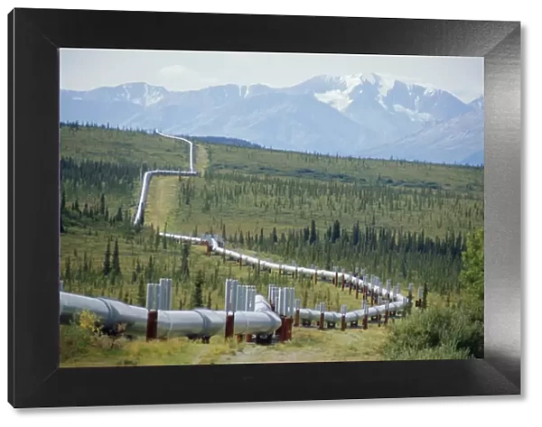 The Trans Alaska Oil Pipeline running on refridgerated