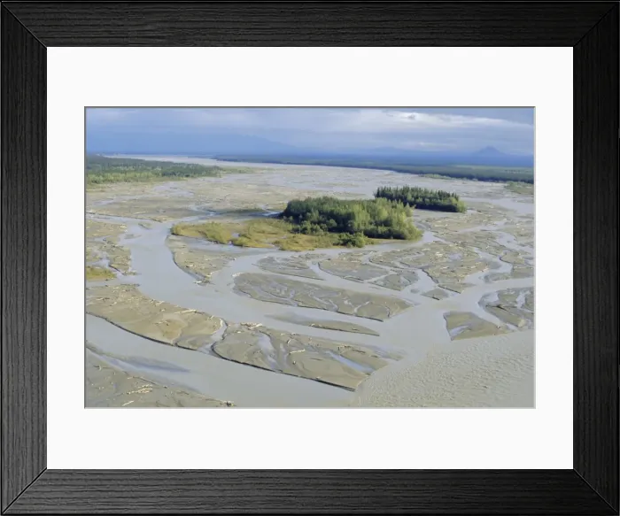 Framed Print : Delta sandbanks and braided channels