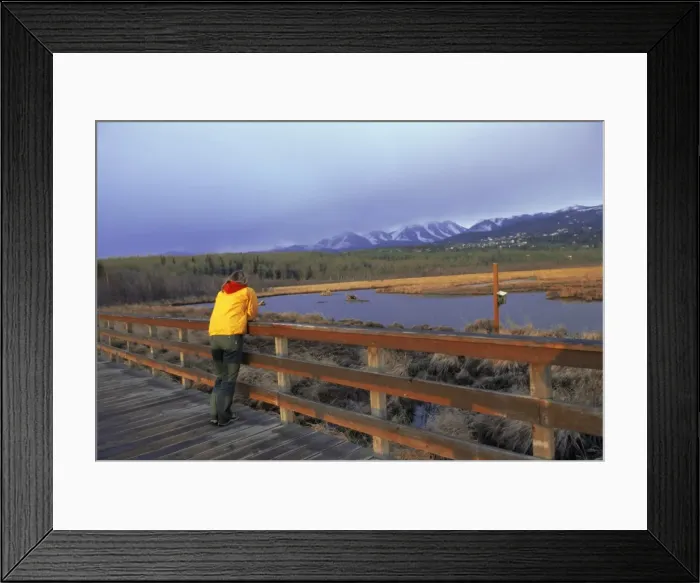 Framed Print : Bird sanctuary at Potters Marsh Framed Print : Bird sanctuary at Potters Marsh