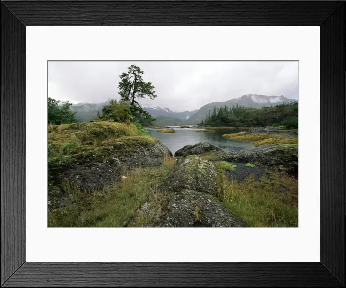 Framed Print : Moss covered rocks at waters edge Framed Print : Moss covered rocks at waters edge