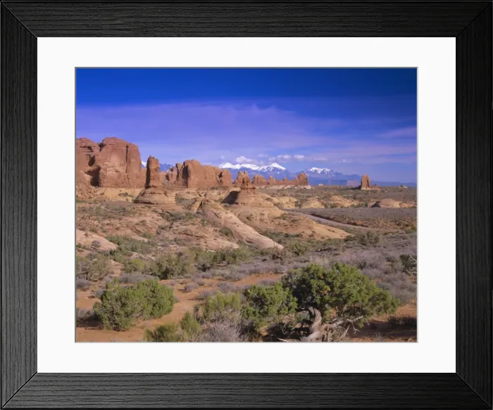 Framed Print : The Windows section Framed Print : The Windows section