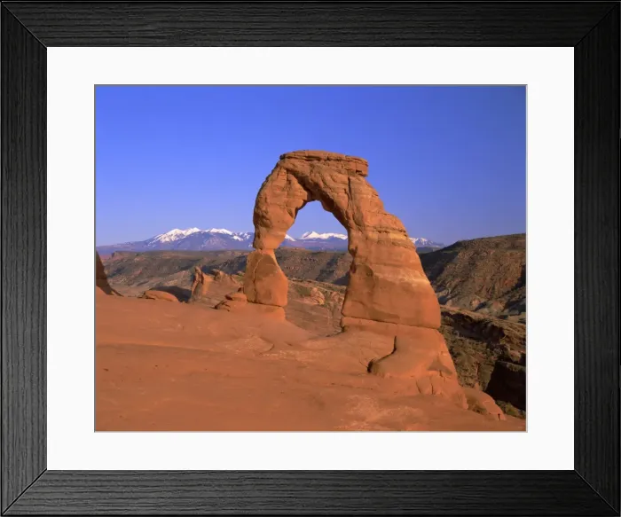 Framed Print : Delicate Arch Framed Print : Delicate Arch
