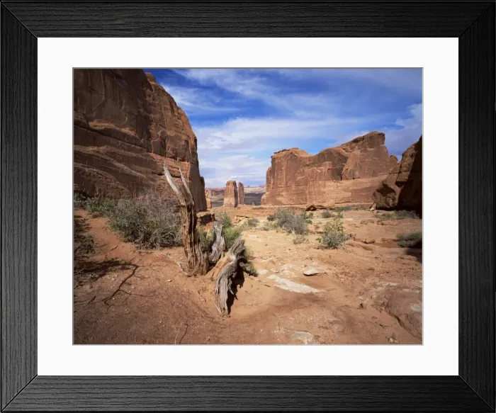 Framed Print : Park Avenue Framed Print : Park Avenue