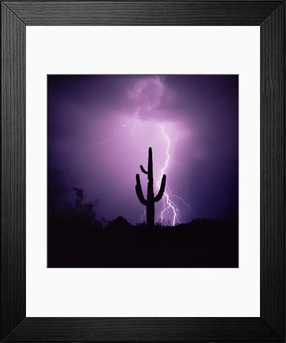 Framed Print : Cactus silhouetted against lightning Framed Print : Cactus silhouetted against lightning