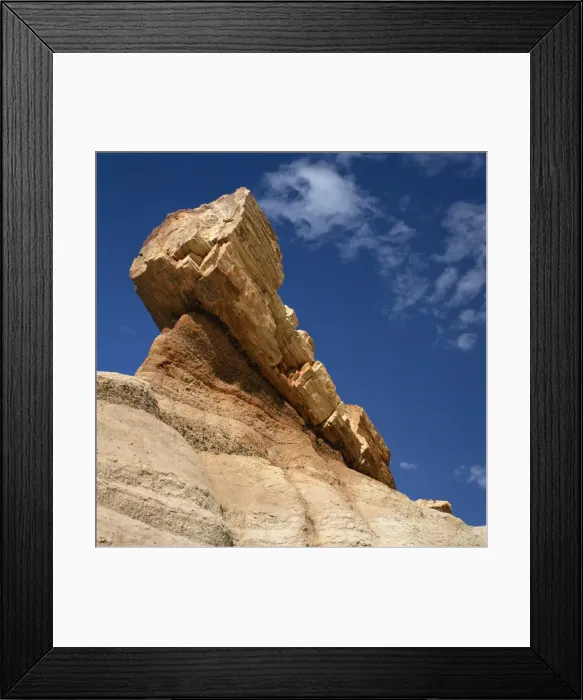 Framed Print : The petrified forest in Arizona
