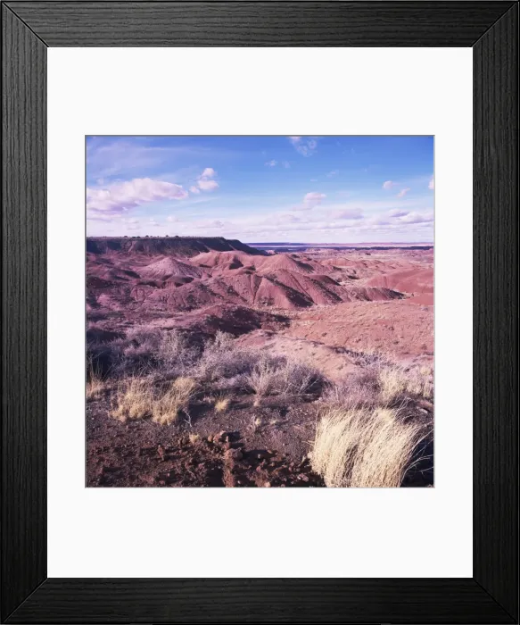 Framed Print : Painted Desert Framed Print : Painted Desert