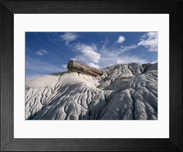 Framed Print : Petrified Forest National Park, Arizona, United States of America (U Framed Print : Petrified Forest National Park, Arizona, United States of America (U