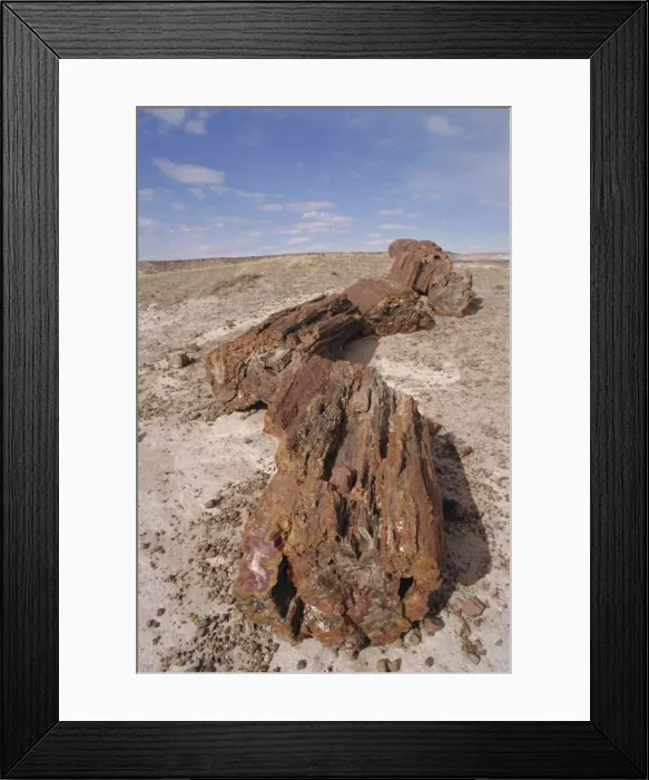 Framed Print : Petrified Forest National Park Framed Print : Petrified Forest National Park