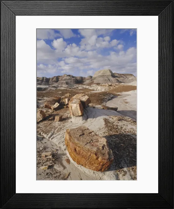 Framed Print : Blue Mesa, Petrified Forest National Park Framed Print : Blue Mesa, Petrified Forest National Park