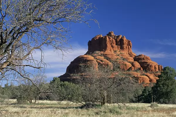 View to Bell Rock
