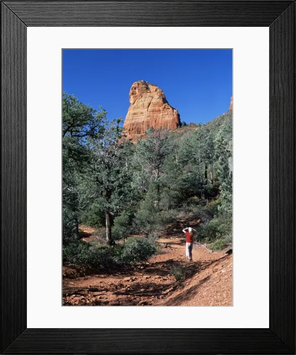 Framed Print : Birdwatcher on path Framed Print : Birdwatcher on path