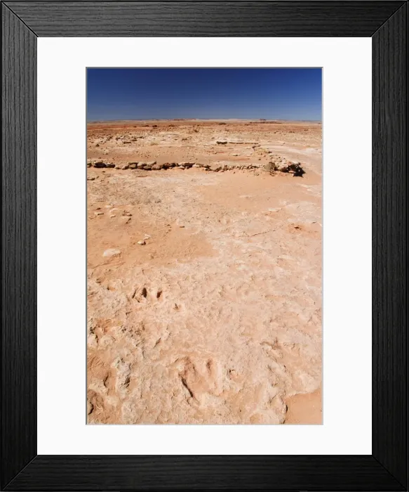 Framed Print : Dinosaur Foot Prints Framed Print : Dinosaur Foot Prints