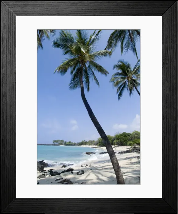 Framed Print : Kona State Beach Framed Print : Kona State Beach
