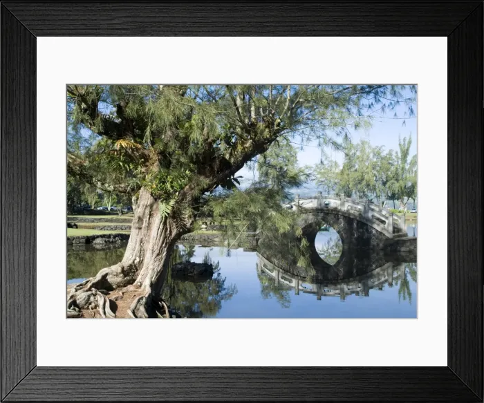 Framed Print : Liliuokalani Gardens Framed Print : Liliuokalani Gardens