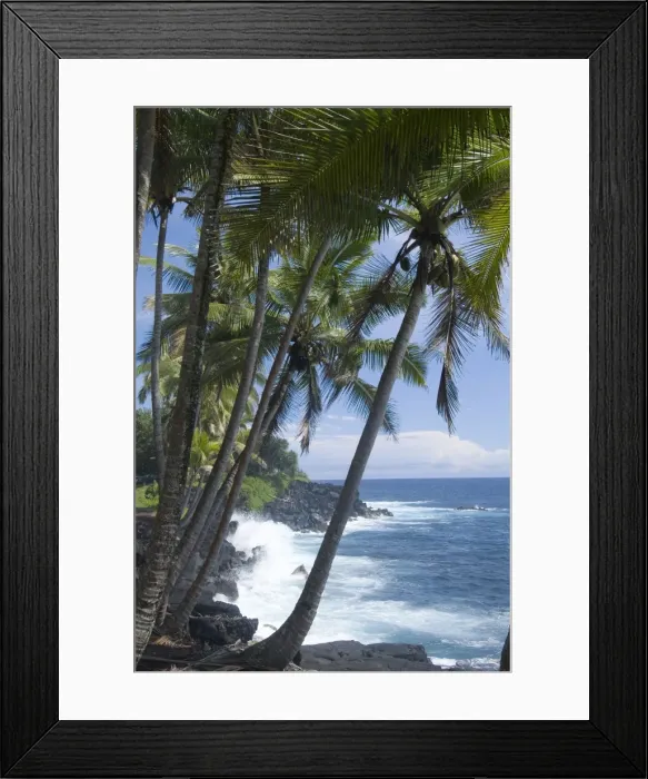 Framed Print : Puna (Black Sand) Beach Framed Print : Puna (Black Sand) Beach
