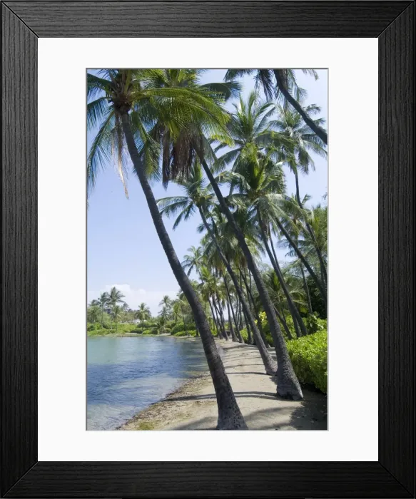 Framed Print : Waikaloa Beach Framed Print : Waikaloa Beach