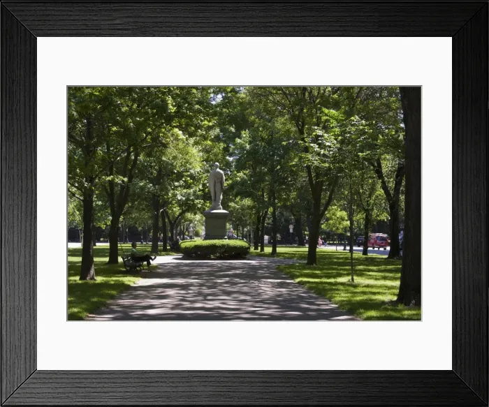 Framed Print : Tree lined central mall in Commonwealth Avenue Framed Print : Tree lined central mall in Commonwealth Avenue