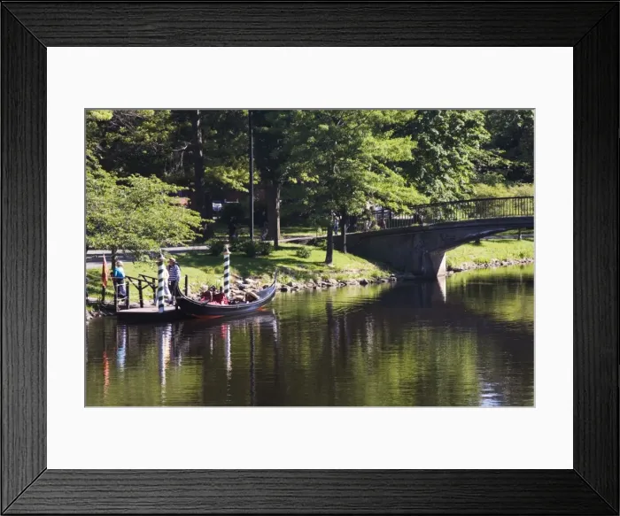 Framed Print : The Esplanade next to the Charles River Framed Print : The Esplanade next to the Charles River