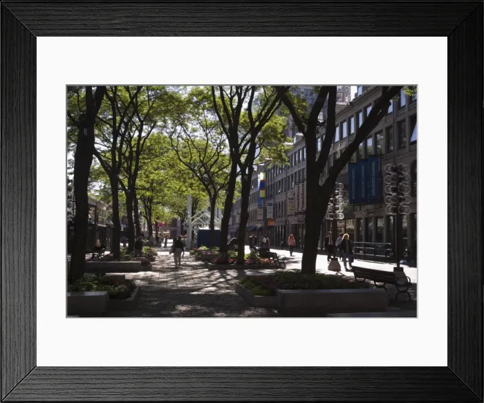 Framed Print : Quincy Market Framed Print : Quincy Market