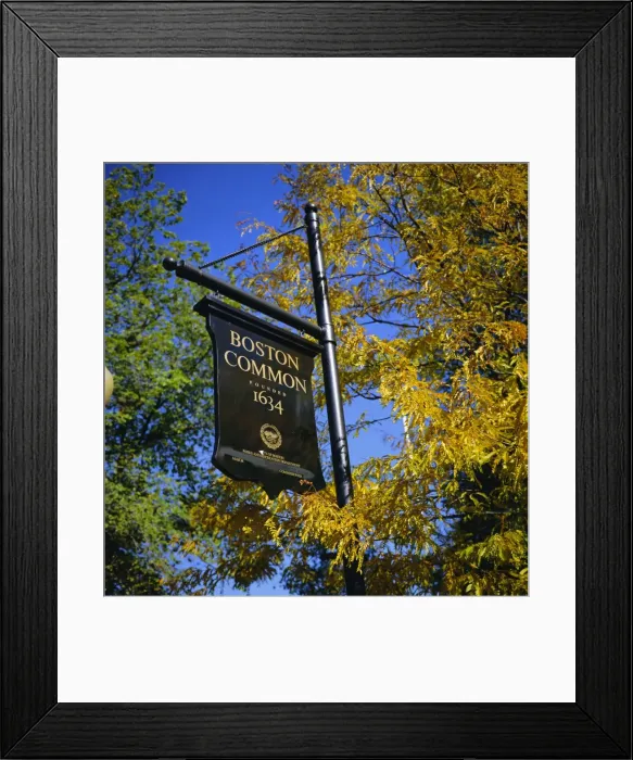 Framed Print : Boston Common sign Framed Print : Boston Common sign