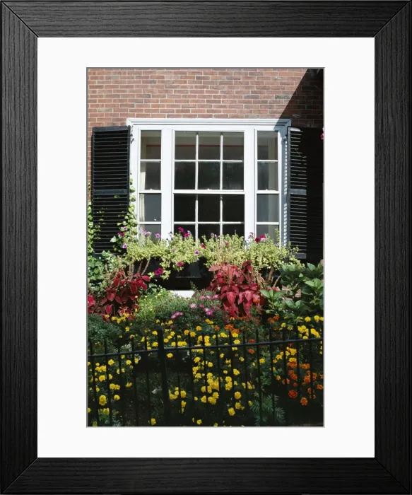 Framed Print : Window and small garden Framed Print : Window and small garden