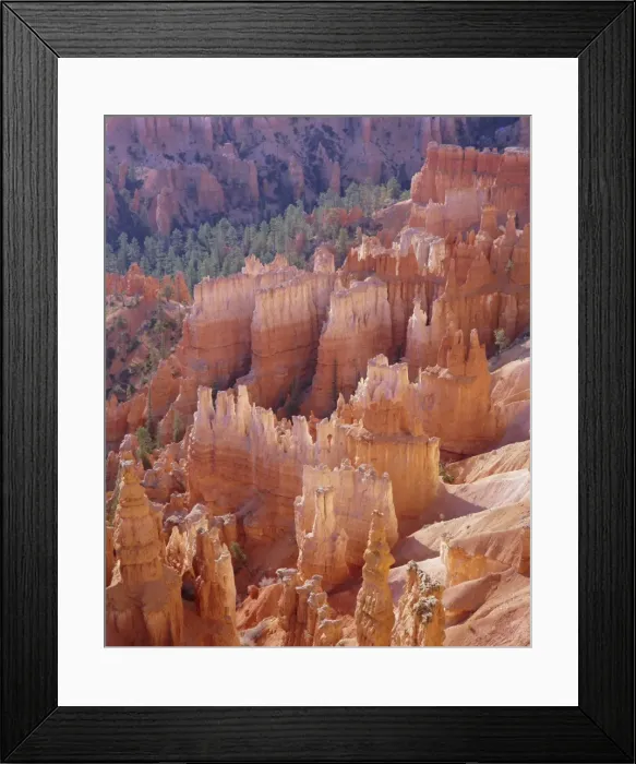 Framed Print : Rock Hoodoos from Sunset Point Framed Print : Rock Hoodoos from Sunset Point
