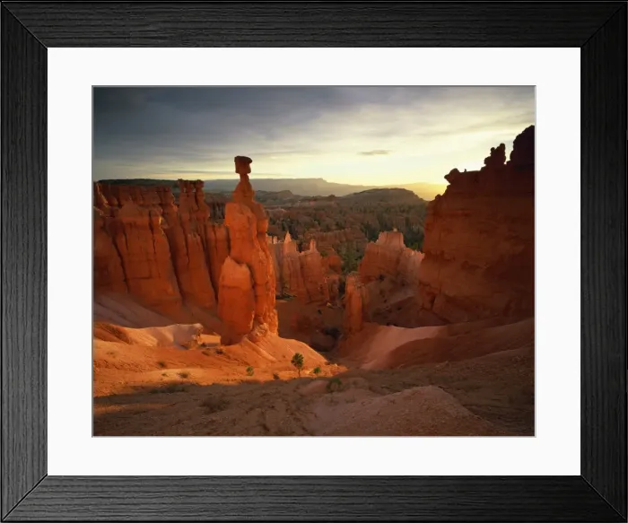 Framed Print : Backlit hoodoos and Thors Hammer Framed Print : Backlit hoodoos and Thors Hammer