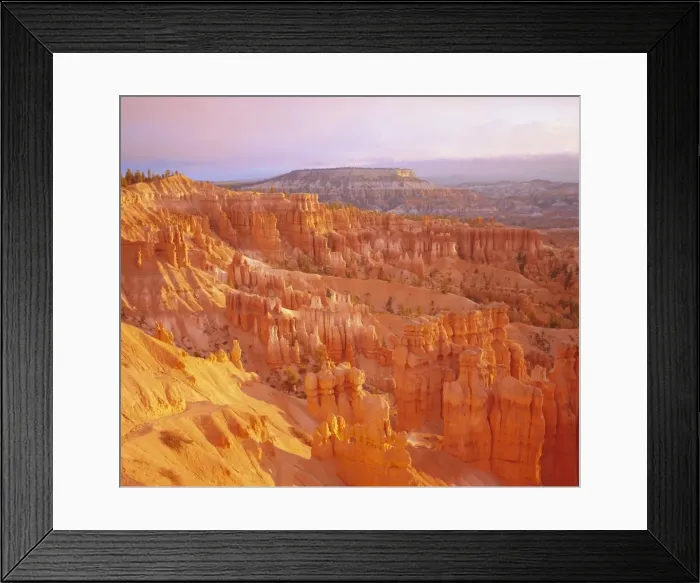 Framed Print : Sunrise, the Queens Garden from Sunset Point Framed Print : Sunrise, the Queens Garden from Sunset Point