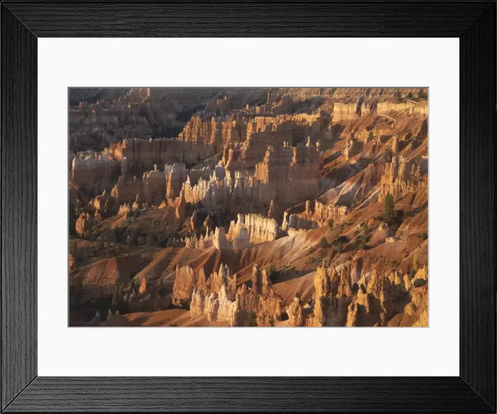 Framed Print : Queens Garden, Bryce Canyon, Utah, United States of America (U Framed Print : Queens Garden, Bryce Canyon, Utah, United States of America (U