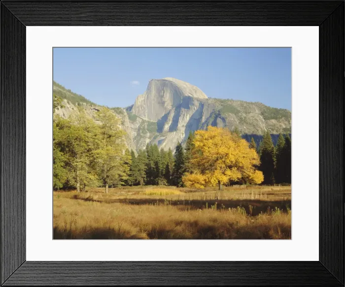 Framed Print : Half Dome in the autumn