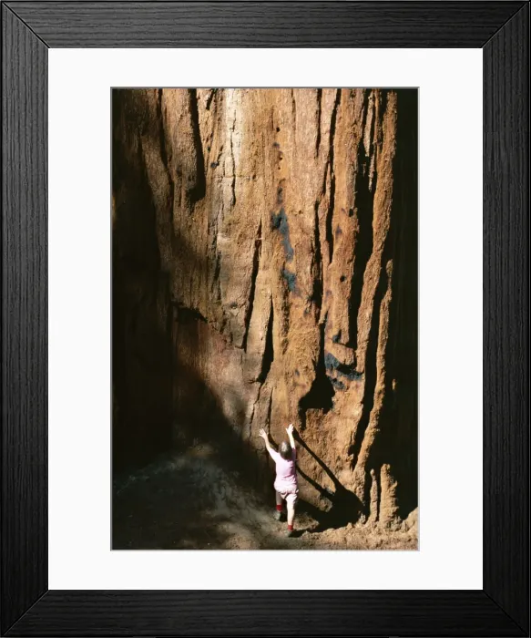 Framed Print : Figure shows scale of the trunk of giant sequoia tree Framed Print : Figure shows scale of the trunk of giant sequoia tree