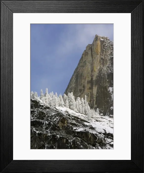 Framed Print : Fresh snow fall on trees on Cathedral Rock