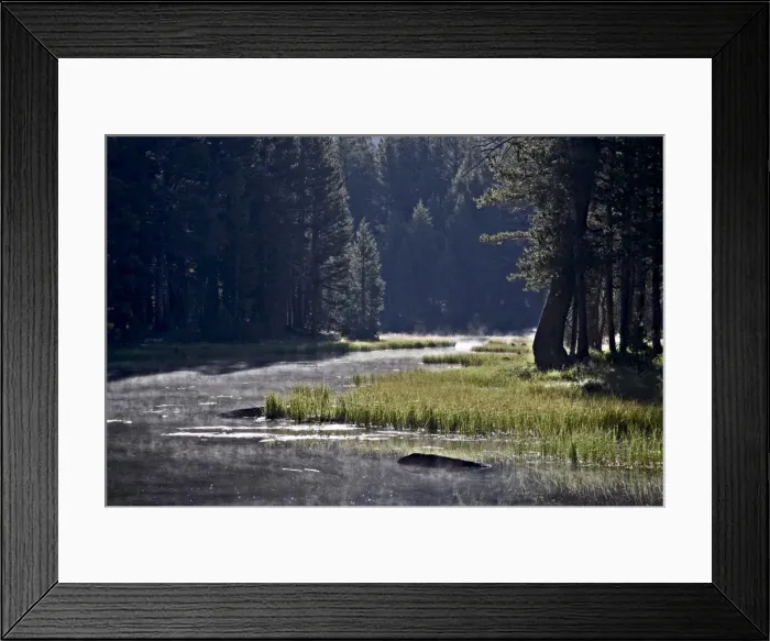 Framed Print : Pond among evergreens with morning fog Framed Print : Pond among evergreens with morning fog
