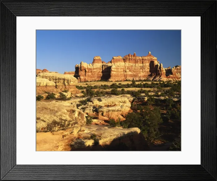 Framed Print : The Needles in Chesler Park