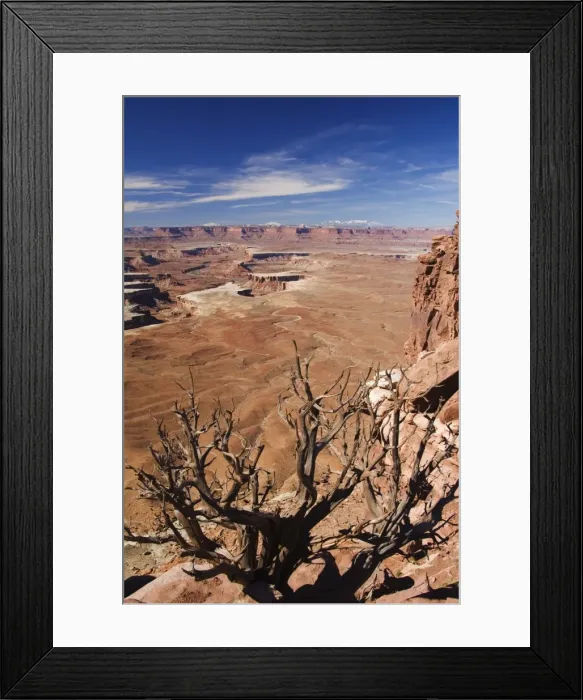 Framed Print : Dead Horse Point looking out at the Colorado River Framed Print : Dead Horse Point looking out at the Colorado River