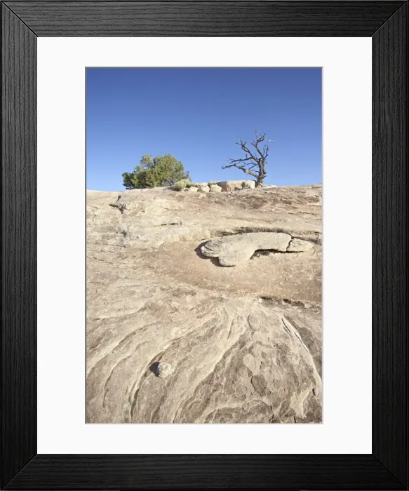 Framed Print : White rock Framed Print : White rock