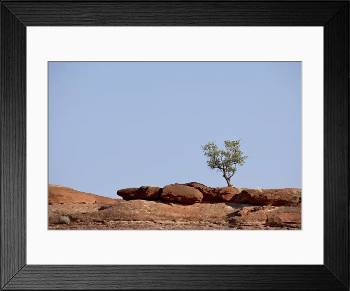 Framed Print : Tree on red rocks Framed Print : Tree on red rocks