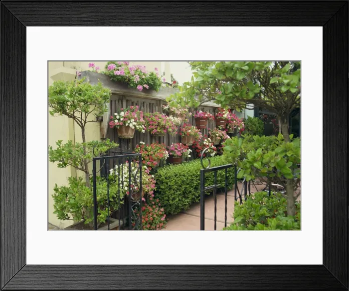 Framed Print : Carmel, California Framed Print : Carmel, California
