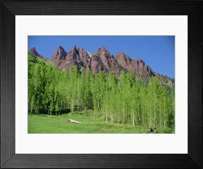 Framed Print : Aspen trees with the red peaks which line Maroon Valley to the west Framed Print : Aspen trees with the red peaks which line Maroon Valley to the west
