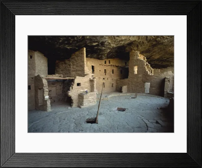Framed Print : Spruce tree house Framed Print : Spruce tree house