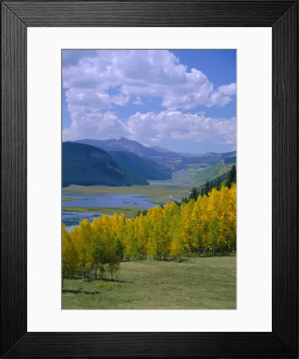 Framed Print : Rio Grande National Forest Framed Print : Rio Grande National Forest