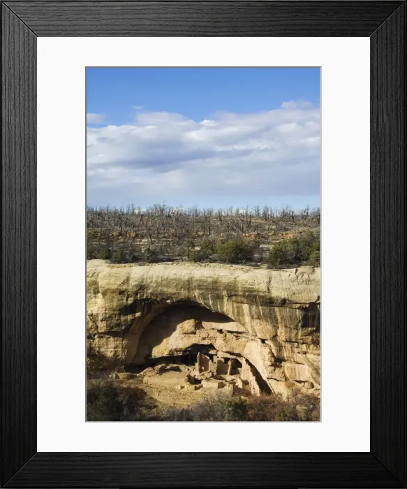 Framed Print : Cliff palace ruins in Mesa Verde containing some of Framed Print : Cliff palace ruins in Mesa Verde containing some of