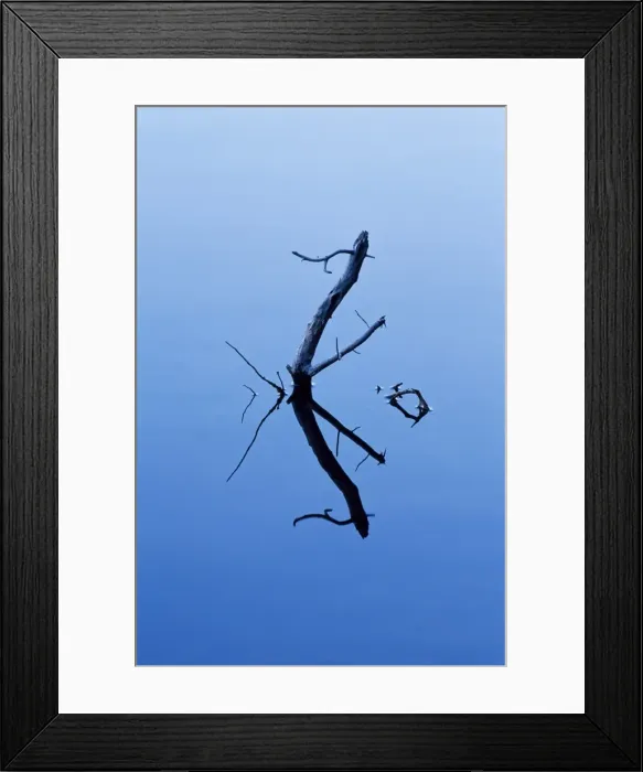 Framed Print : Twigs reflected in Sprague Lake Framed Print : Twigs reflected in Sprague Lake