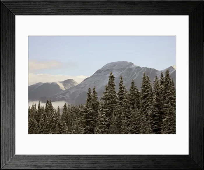 Framed Print : Mountains and evergreens with snow Framed Print : Mountains and evergreens with snow