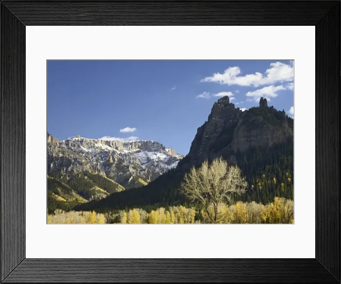 Framed Print : Aspens and cottonwoods in fall colors