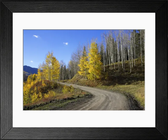 Framed Print : Dirt road winding through aspens in fall color Framed Print : Dirt road winding through aspens in fall color
