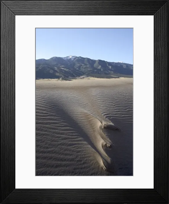 Framed Print : Sand dune with frost at dawn Framed Print : Sand dune with frost at dawn
